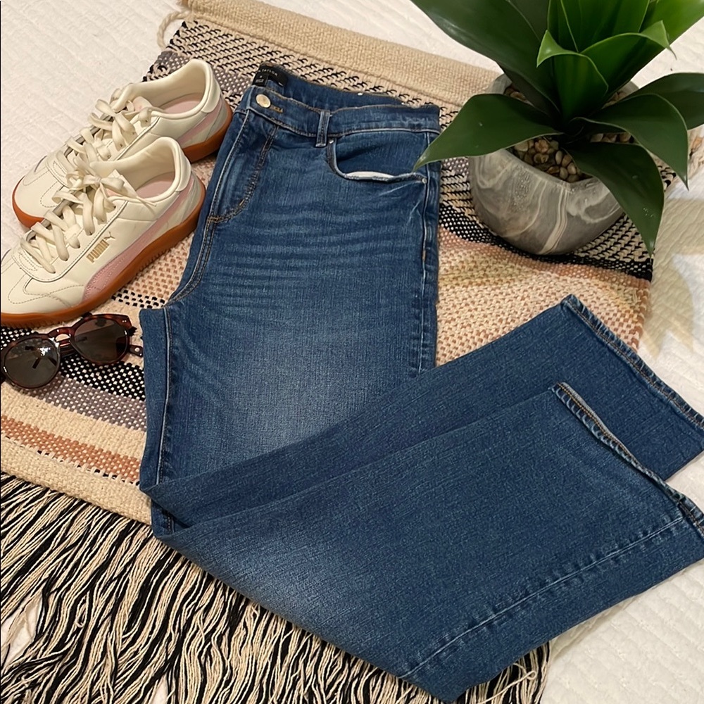 Ann Taylor Classic Blue Jeans